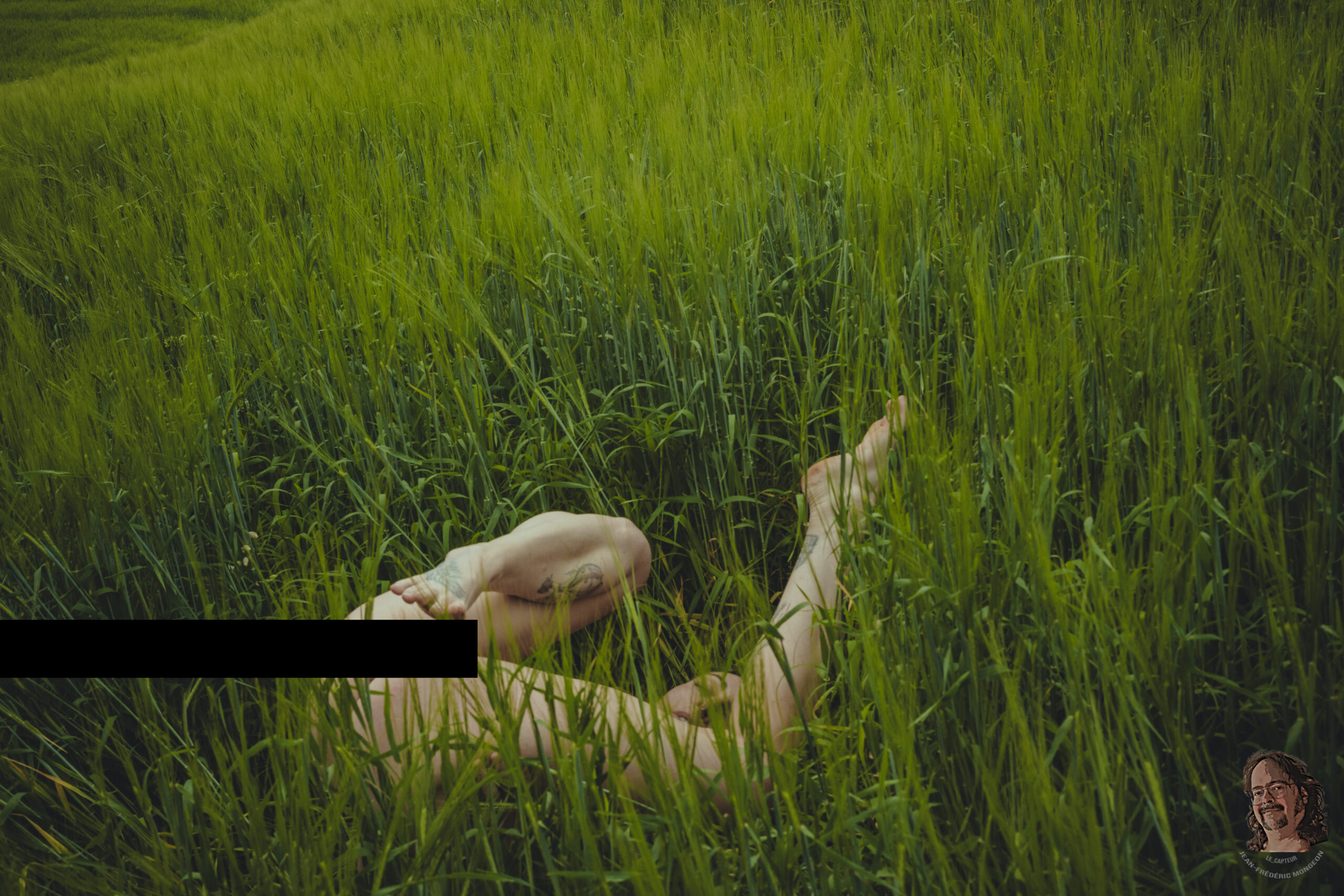 Myriam – L’herbe haute