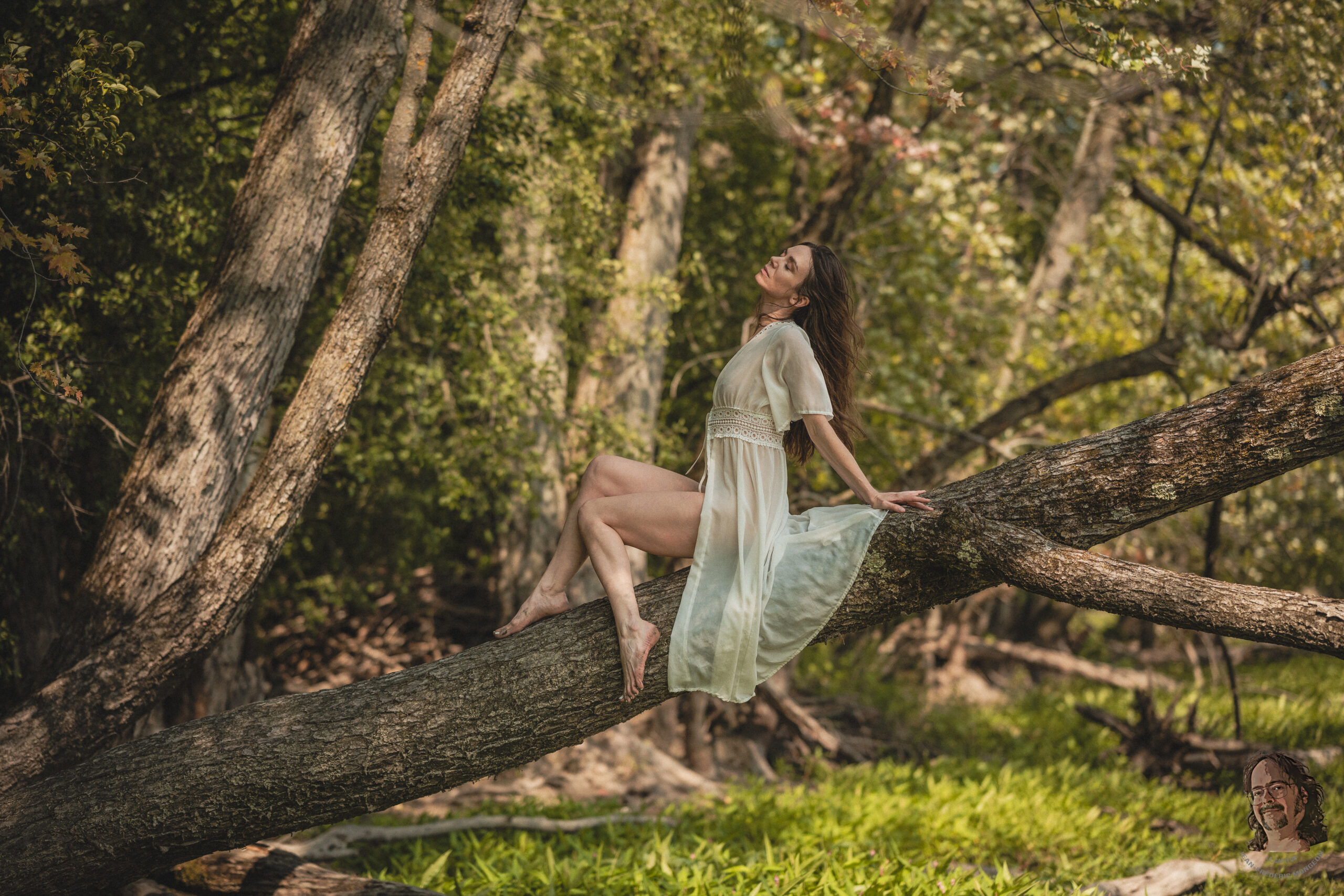 Jay Ban – Le voile des branches